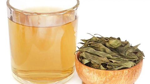 डायबिटीज से लेकर फैटी लिवर तक, इन 4 स्थितियों में पिएं चिरायता का पानी