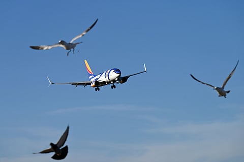 पोर्ट ब्लेयर से आये विमान से टकराया पक्षी