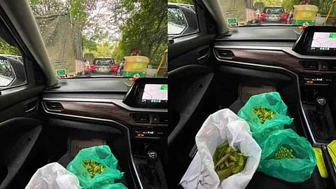 ट्रैफिक में फंसी गाड़ी तो महिला निपटाने लगी घरेलू काम, वायरल हो रहा है ये ट्वीट