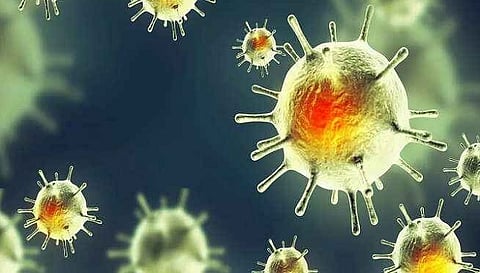 कोरोना महामारी के बाद ‘डिजीज एक्स’ ने दी दुनिया में दस्तक, 20 गुना अधिक घातक है बीमारी