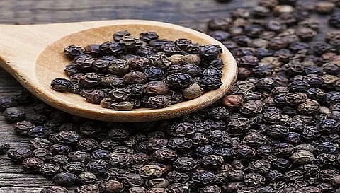 मिर्च के ये टोटके कई बाधाओं को करेगा दूर, अपनाएं ये आसान तरीका