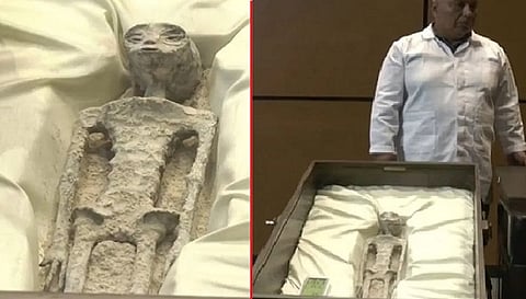 वायरल तस्वीर