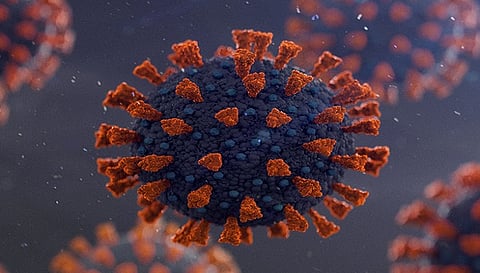 जल्द होगा निपाह वायरस का इलाज, ऑस्ट्रेलिया से मंगवाई जाएगी एंटीबॉडी