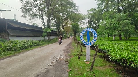 पूजा से पहले साइली एवं नया साइली चाय बागान बंद