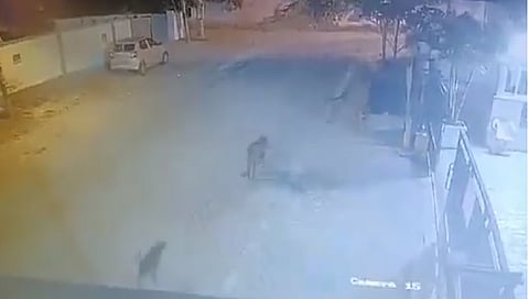 वायरल वीडियो ग्रैब