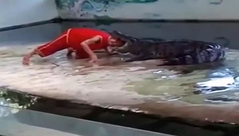 वायरल वीडियो ग्रैब