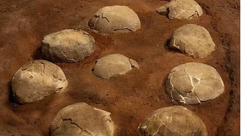 जिसे मानते थे कुलदेवता वो निकला डायनासोर का अंडा, सच्चाई जानकर लोग हुए हैरान