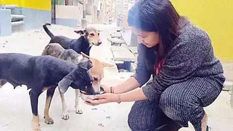 DumDum Woman Feeding Stray Dogs : कुत्तों को खाना खिला रही थी लड़की, तभी पीछे से …