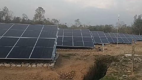 West Bengal Tea Garden: चाय बागान से दूर होगी बिजली की समस्या!