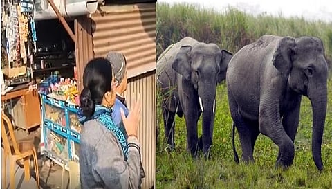 West bengal News: ‘दुकान की दीवार तोड़कर चिप्स का पैकेट ले गया हाथी’, ग्रामीणों में दहशत