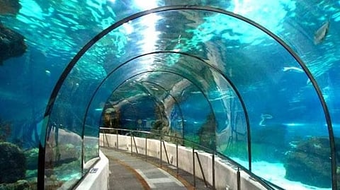 इस दिन से शुरू होगी देश के पहले अंडररिवर मेट्रो की …