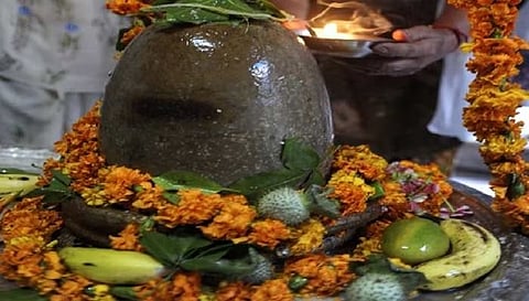 MahaShivratri 2024 : महाशिवरात्रि पर कर लें धतूरे के ये 5 उपाय, आपका व्यापार आगे बढ़ता चला जाएगा