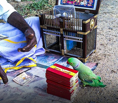 Tamil Nadu : तोते ने कर दी NDA की जीत की भविष्यवाणी तो ज्योतिषी को ही उठा ले गई पुलिस