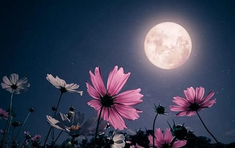 आज नजर आएगा पिंक मून, जानिए Pink Moon क्या होता है और क्यों …