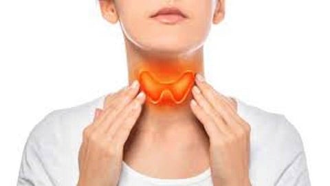 क्या आपको भी है थायरायड की समस्या?? ऐसे समझें इसके लक्षण को…