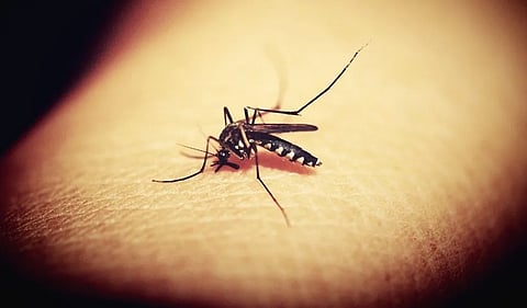 सांकेतिक चित्र