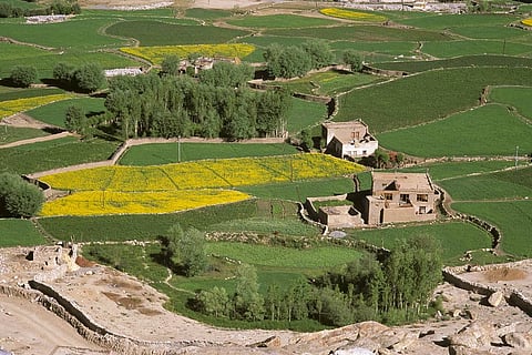 बंगाल में अब सरकारी जमीन पर नहीं कर पाएंगे कब्जा