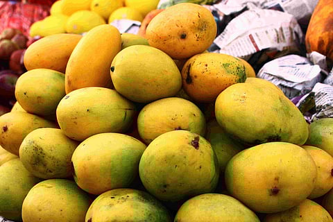 बंगाल में आम की कीमतें बढ़ी…थोक कीमतों में 50-80% की वृद्धि