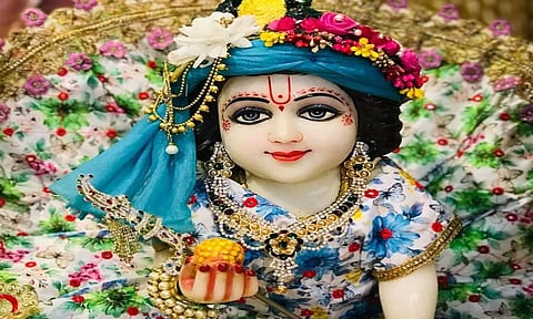 क्या आप भी लड्डू गोपाल को नमकीन और बिस्कुट का भोग लगाते हो? तो ये खबर जरूर पढ़ लें…