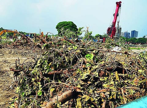 Victoria Metro Station को बनाने के लिए हटाए जाएंगे 900 पेड़ !