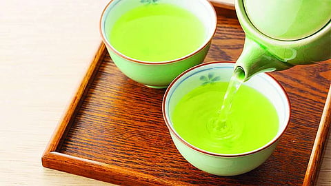 हरी चाय देती है हृदय को सुरक्षा