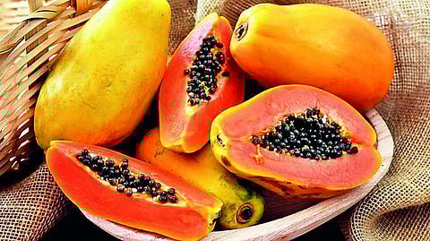इम्यूनिटी बढ़ाने में पपीते का जादुई असर