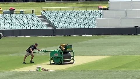 IND vs AUS, 2nd Test : कैसी होगी एडीलेड की पिच ?