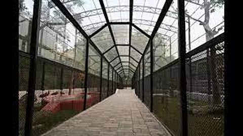 अलीपुर जू में बने ग्लास केज का हुआ उद्घाटन, पक्षियों को करीब से देख सकेंगे दर्शक