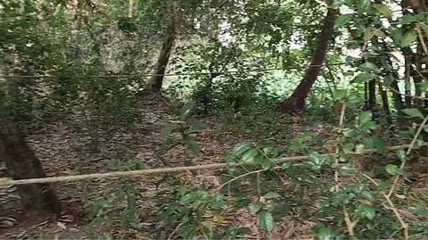 सरप्राइज देने के बहाने बगीचे में बुलाया और फिर काट दिया प्रेमी का गुप्तांग