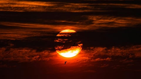 Grahan 2025: नए साल में लगेंगे 4 ग्रहण, जानिए कब और किस समय लगेगा ये ग्रहण