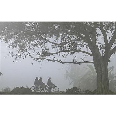 कोहरे की चपेट में उत्तर भारत