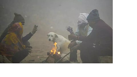 कड़ाके की ठंड में अलाव का सहारा