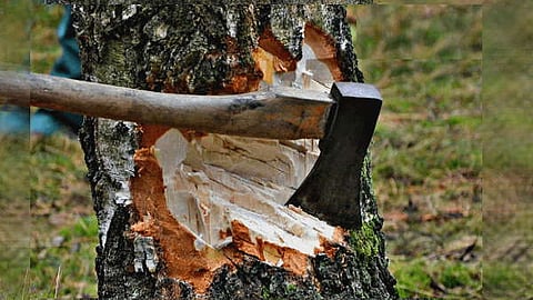 फाइल फोटो