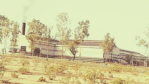 parner sugar factory