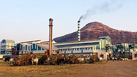 Jarandeshwar Sugar factory