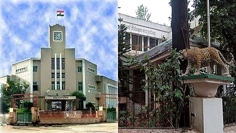 karad palika, Panchgani palika