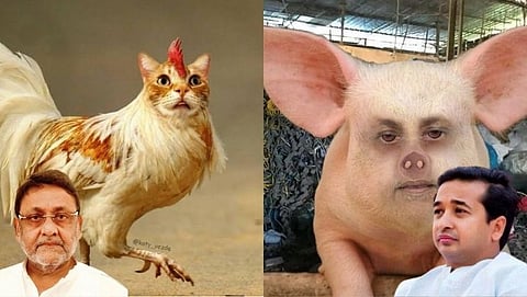 Nawab Malik twitter,Nitesh Rane twitter