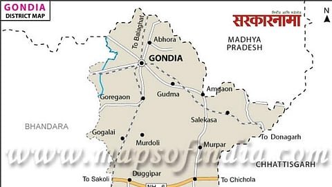 Gondia District Map
