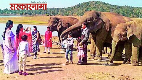 Kamlapur Elephant Camp, Gujrat