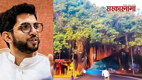 Aditya Thakre & 200 years old banyan tree