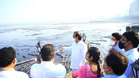 Ajit Pawar- Aditya Thackeray