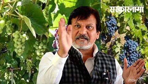 Wine producer Jagdish Holkar