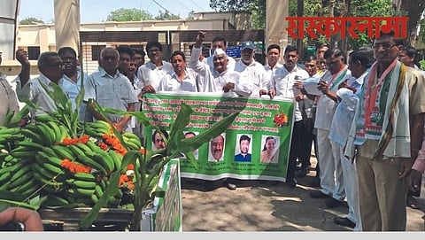 Banana growers at Raver