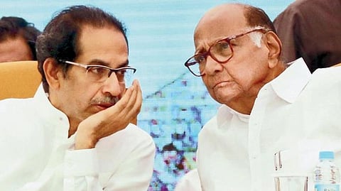 Uddhav Thackeray, Sharad Pawar