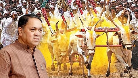 Dilip Walse Patil, BullockCart Race