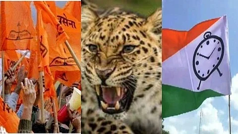 shivsena, ncp