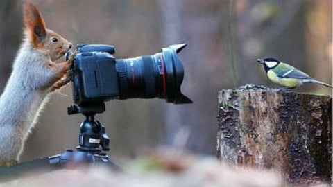 बाबरी पाडली तेव्हा राज कुठे होते ? असं म्हणणाऱ्या मुख्यमंत्र्यांवर मनसेचा हल्लाबोल