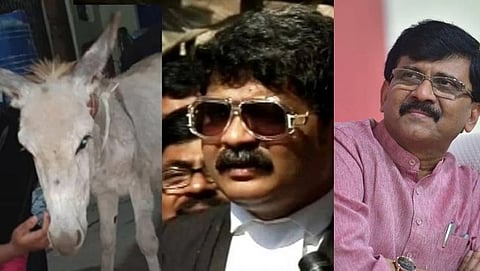 gunaratna sadavarte, sanjay raut