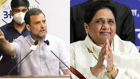 Rahul Gandhi, Mayawati