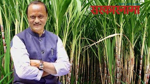 Ajit Pawar-Sugar Factory, Osmanabad Latest News Updates, Ajit Pawar News